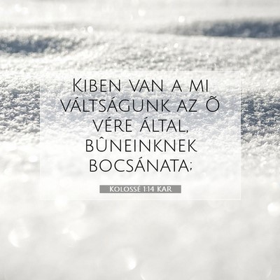 Picture 07 - Kolossé 1:14 KAR - Kiben van a mi váltságunk az Õ vére által, - Bible Verse Picture