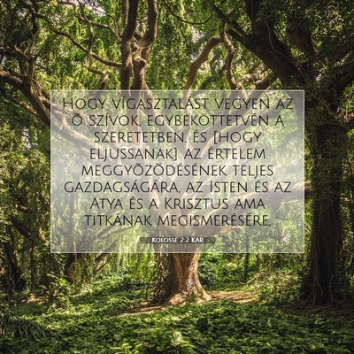 Picture 07 - Kolossé 2:2 KAR - Hogy vígasztalást vegyen az õ szívök, - Bible Verse Picture