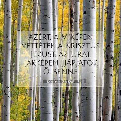 Picture 07 - Kolossé 2:6 KAR - Azért, a miképen vettétek a Krisztus Jézust, - Bible Verse Picture
