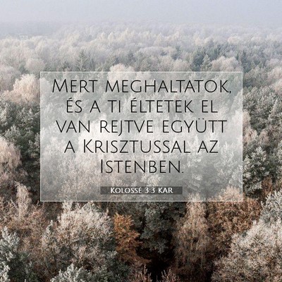 Picture 07 - Kolossé 3:3 KAR - Mert meghaltatok, és a ti éltetek el van rejtve - Bible Verse Picture