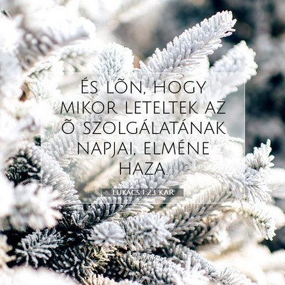 Picture 07 - Lukács 1:23 KAR - És lõn, hogy mikor leteltek az õ - Bible Verse Picture