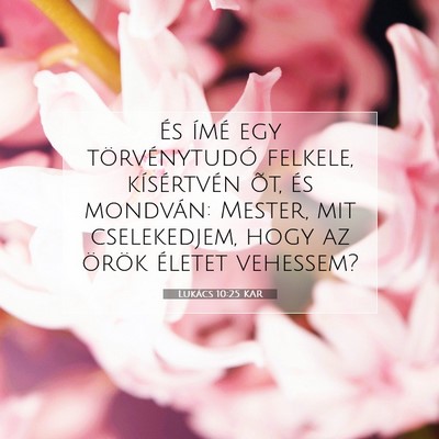 Picture 07 - Lukács 10:25 KAR - És ímé egy törvénytudó felkele, - Bible Verse Picture