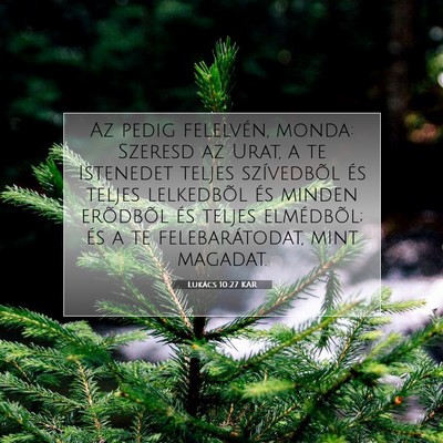 Picture 07 - Lukács 10:27 KAR - Az pedig felelvén, monda: Szeresd az Urat, a te - Bible Verse Picture