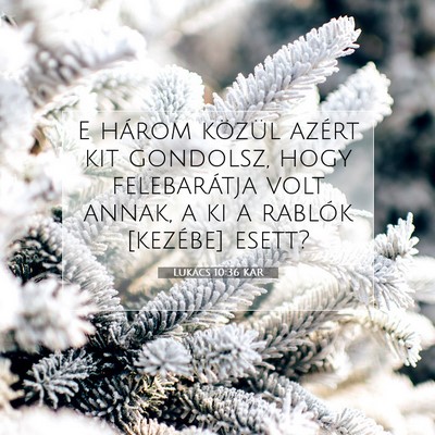 Picture 07 - Lukács 10:36 KAR - E három közül azért kit gondolsz, hogy - Bible Verse Picture