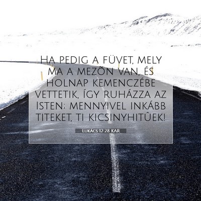 Picture 07 - Lukács 12:28 KAR - Ha pedig a füvet, mely ma a mezõn van, és - Bible Verse Picture