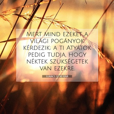 Picture 07 - Lukács 12:30 KAR - Mert mind ezeket a világi pogányok kérdezik; a - Bible Verse Picture