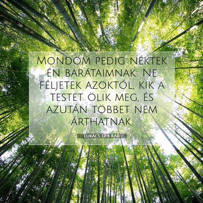 Picture 07 - Lukács 12:4 KAR - Mondom pedig néktek én barátaimnak: Ne - Bible Verse Picture