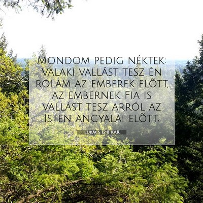 Picture 07 - Lukács 12:8 KAR - Mondom pedig néktek: Valaki vallást tesz én - Bible Verse Picture