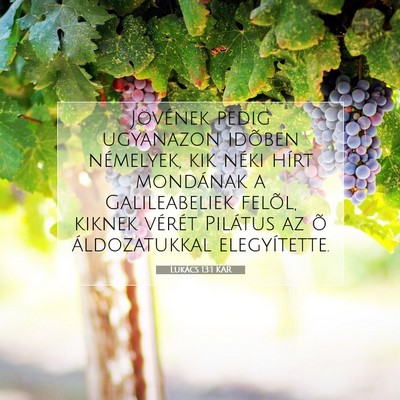 Picture 07 - Lukács 13:1 KAR - Jövének pedig ugyanazon idõben némelyek, kik - Bible Verse Picture