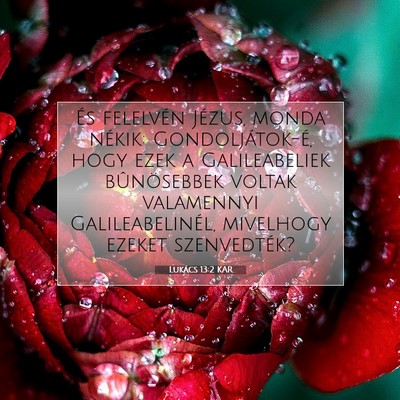 Picture 07 - Lukács 13:2 KAR - És felelvén Jézus, monda nékik: - Bible Verse Picture