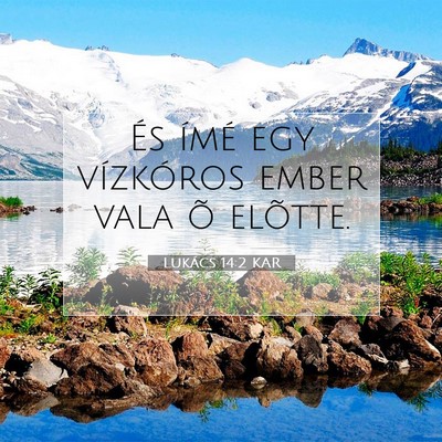 Picture 07 - Lukács 14:2 KAR - És ímé egy vízkóros ember vala õ - Bible Verse Picture