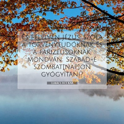 Picture 07 - Lukács 14:3 KAR - És felelvén Jézus, szóla a törvénytudóknak - Bible Verse Picture
