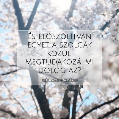 Picture 07 - Lukács 15:26 KAR - És elõszólítván egyet a szolgák közül, - Bible Verse Picture