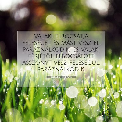 Picture 07 - Lukács 16:18 KAR - Valaki elbocsátja feleségét, és mást vesz - Bible Verse Picture
