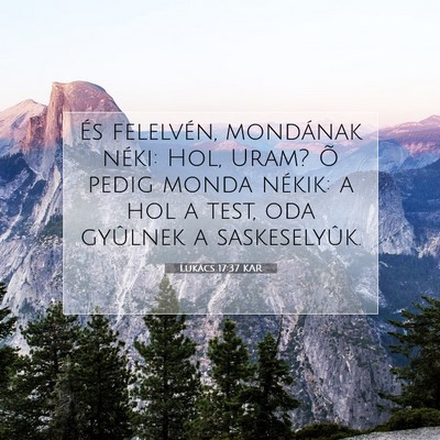 Picture 07 - Lukács 17:37 KAR - És felelvén, mondának néki: Hol, Uram? Õ - Bible Verse Picture