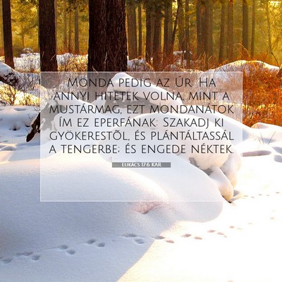 Picture 07 - Lukács 17:6 KAR - Monda pedig az Úr: Ha annyi hitetek volna, mint - Bible Verse Picture