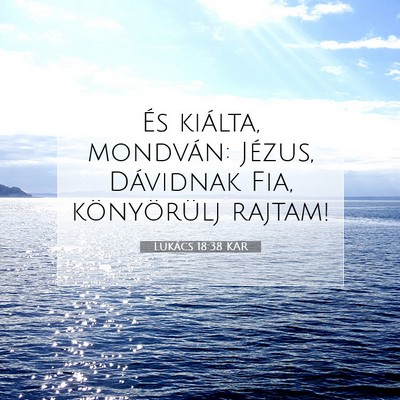 Picture 07 - Lukács 18:38 KAR - És kiálta, mondván: Jézus, Dávidnak Fia, - Bible Verse Picture