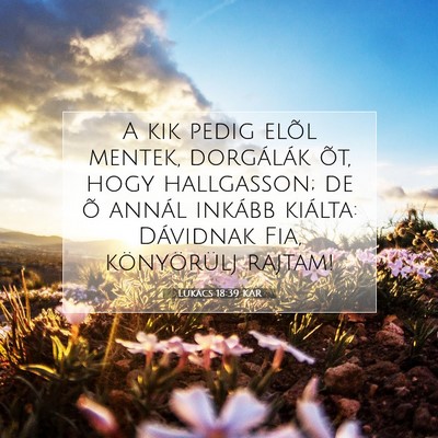 Picture 07 - Lukács 18:39 KAR - A kik pedig elõl mentek, dorgálák õt, hogy - Bible Verse Picture