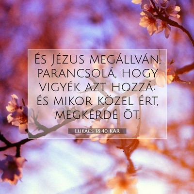 Picture 07 - Lukács 18:40 KAR - És Jézus megállván, parancsolá, hogy vigyék - Bible Verse Picture