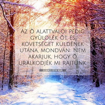 Picture 07 - Lukács 19:14 KAR - Az õ alattvalói pedig gyûlölék õt, és - Bible Verse Picture