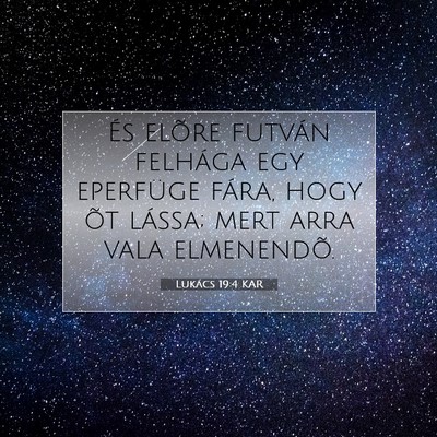 Picture 07 - Lukács 19:4 KAR - És elõre futván felhága egy eperfüge fára, - Bible Verse Picture