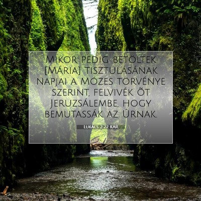 Picture 07 - Lukács 2:22 KAR - Mikor pedig betöltek [Mária] tisztulásának - Bible Verse Picture