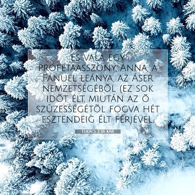 Picture 07 - Lukács 2:36 KAR - És vala egy prófétaasszony, Anna, a Fánuel - Bible Verse Picture