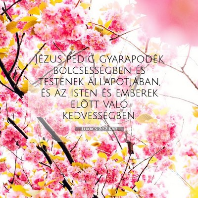 Picture 07 - Lukács 2:52 KAR - Jézus pedig gyarapodék bölcsességben és - Bible Verse Picture