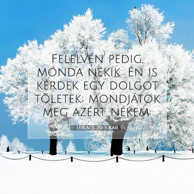 Picture 07 - Lukács 20:3 KAR - Felelvén pedig, monda nékik: Én is kérdek egy - Bible Verse Picture