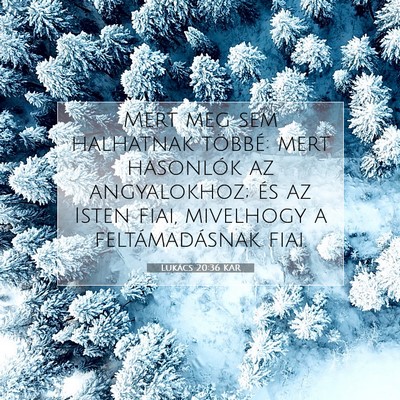 Picture 07 - Lukács 20:36 KAR - Mert meg sem halhatnak többé: mert hasonlók az - Bible Verse Picture