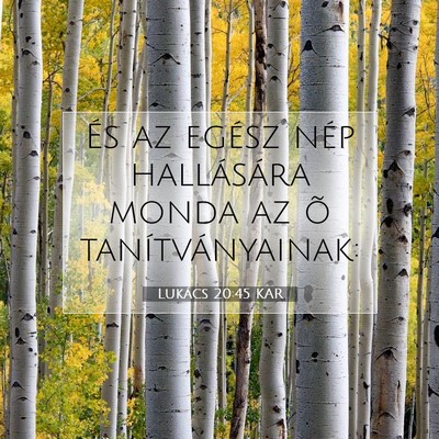 Picture 07 - Lukács 20:45 KAR - És az egész nép hallására monda az õ - Bible Verse Picture