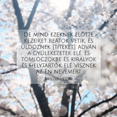 Picture 07 - Lukács 21:12 KAR - De mind ezeknek elõtte kezeiket reátok vetik, - Bible Verse Picture