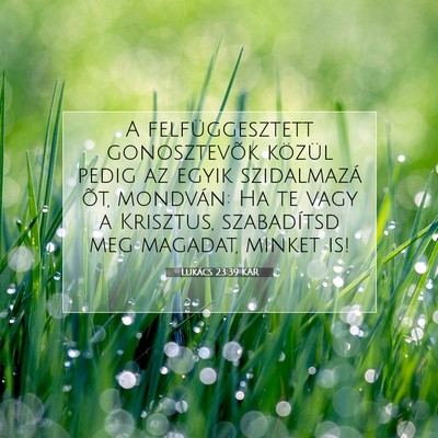 Picture 07 - Lukács 23:39 KAR - A felfüggesztett gonosztevõk közül pedig az - Bible Verse Picture