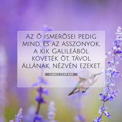 Picture 07 - Lukács 23:49 KAR - Az õ ismerõsei pedig mind, és az asszonyok, a - Bible Verse Picture