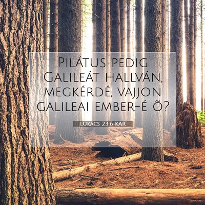 Picture 07 - Lukács 23:6 KAR - Pilátus pedig Galileát hallván, megkérdé, - Bible Verse Picture