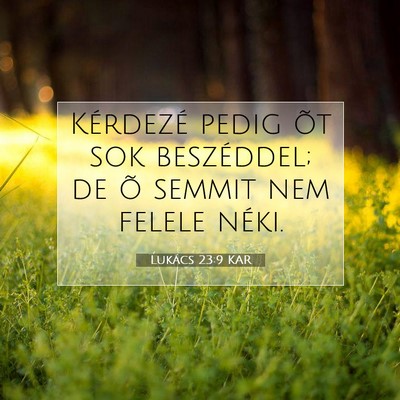 Picture 07 - Lukács 23:9 KAR - Kérdezé pedig õt sok beszéddel; de õ semmit - Bible Verse Picture