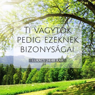 Picture 07 - Lukács 24:48 KAR - Ti vagytok pedig ezeknek - Bible Verse Picture