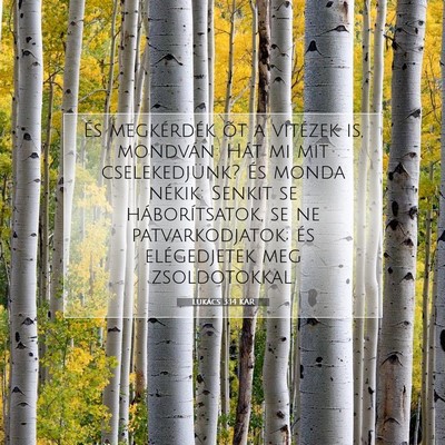 Picture 07 - Lukács 3:14 KAR - És megkérdék õt a vitézek is, mondván: Hát - Bible Verse Picture