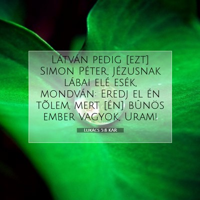 Picture 07 - Lukács 5:8 KAR - Látván pedig [ezt] Simon Péter, Jézusnak - Bible Verse Picture