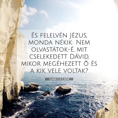 Picture 07 - Lukács 6:3 KAR - És felelvén Jézus, monda nékik: Nem - Bible Verse Picture