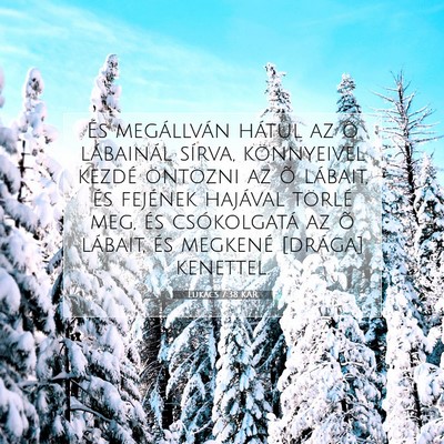 Picture 07 - Lukács 7:38 KAR - És megállván hátul az õ lábainál sírva, - Bible Verse Picture