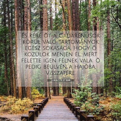 Picture 07 - Lukács 8:37 KAR - És kéré õt a Gadarénusok körül való - Bible Verse Picture