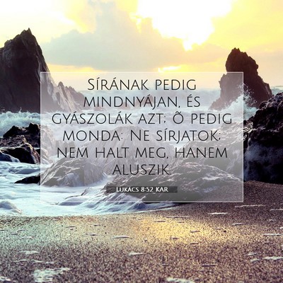 Picture 07 - Lukács 8:52 KAR - Sírának pedig mindnyájan, és gyászolák azt; - Bible Verse Picture