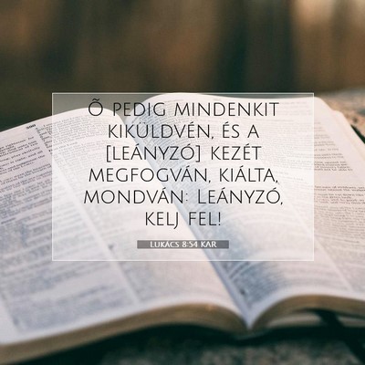 Picture 07 - Lukács 8:54 KAR - Õ pedig mindenkit kiküldvén, és a [leányzó] - Bible Verse Picture