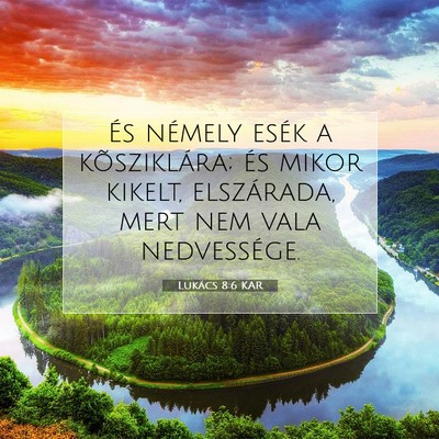 Picture 07 - Lukács 8:6 KAR - És némely esék a kõsziklára; és mikor - Bible Verse Picture