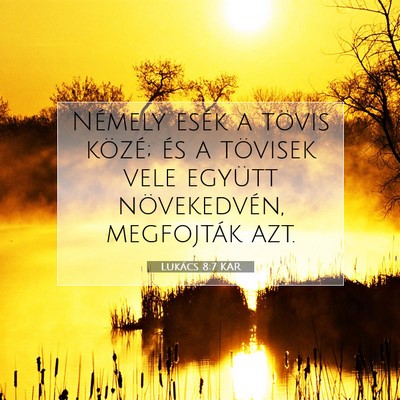 Picture 07 - Lukács 8:7 KAR - Némely esék a tövis közé; és a tövisek - Bible Verse Picture