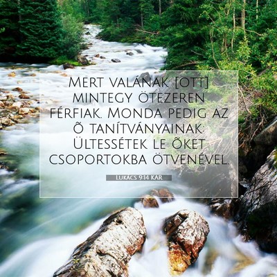 Picture 07 - Lukács 9:14 KAR - Mert valának [ott] mintegy ötezeren férfiak. - Bible Verse Picture