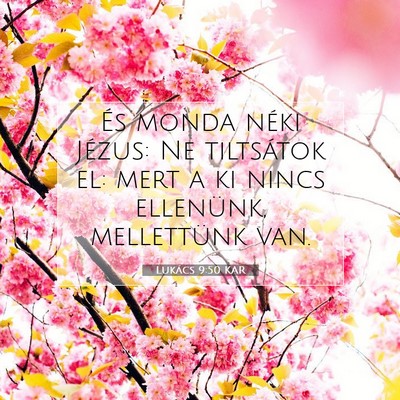 Picture 07 - Lukács 9:50 KAR - És monda néki Jézus: Ne tiltsátok el: mert a - Bible Verse Picture