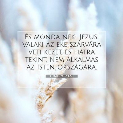 Picture 07 - Lukács 9:62 KAR - És monda néki Jézus: Valaki az eke szarvára - Bible Verse Picture