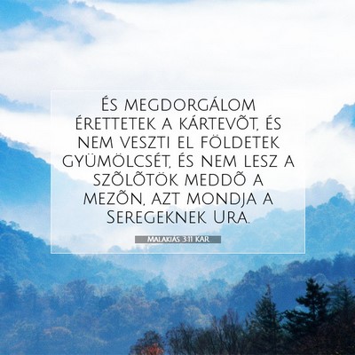 Picture 07 - Malakiás 3:11 KAR - És megdorgálom érettetek a kártevõt, és nem - Bible Verse Picture